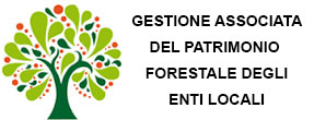 Banner gestione forestale